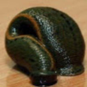 Meet your Posher, Dylan